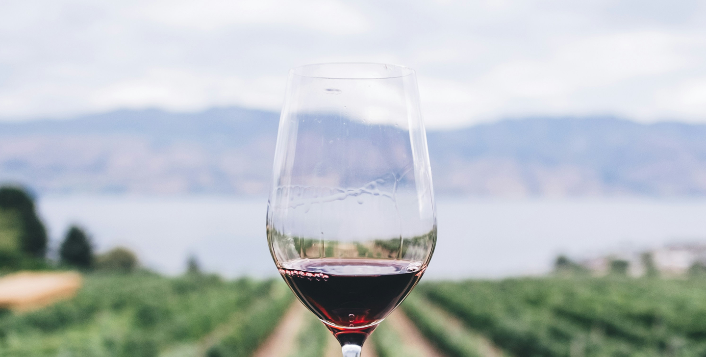 Фотография винодельческого фестиваля